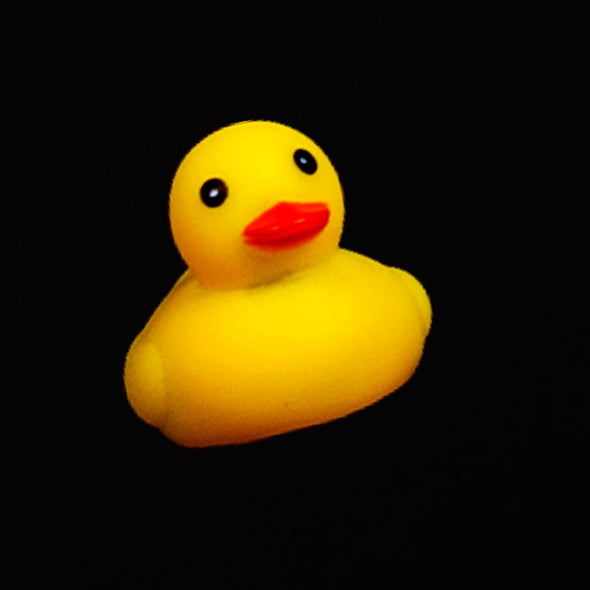 New Year's Sale: 2nd FREE Rubber Duck - Sud Stud